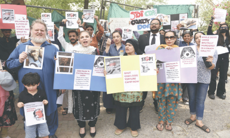 Activists hold placards during their protest outside National Press Club in Islamabad on Saturday against alleged maltreatment of stray dogs at CDA&rsquo;s population control centre. &mdash; White Star