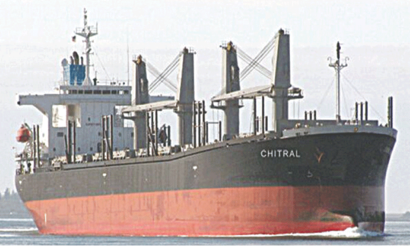 PNSC handles 11pc of cargo by volume and 4pc by value, and plans to boost its share to 52pc and 43pc, respectively, over the next three years.—Courtesy PNSC