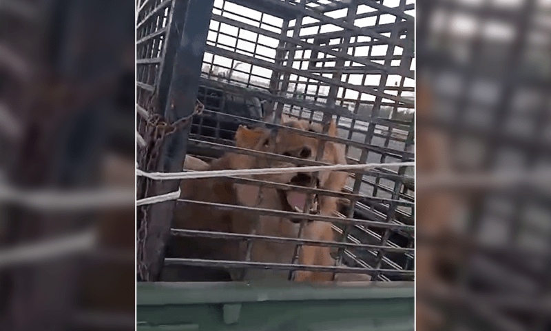 &mdash; فوٹو: ڈان نیوز