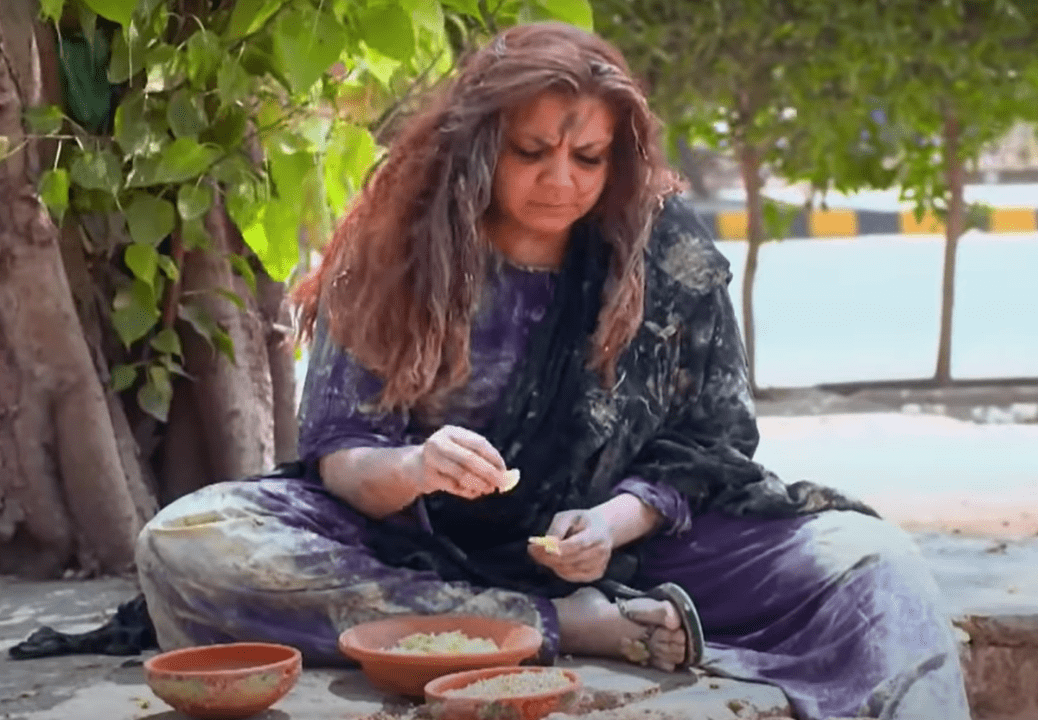  Faiza Hassan plays the character of Gohar in <em>Nand</em> 