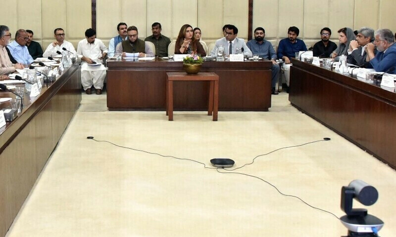 فوٹو: سینیٹ آف پاکستان