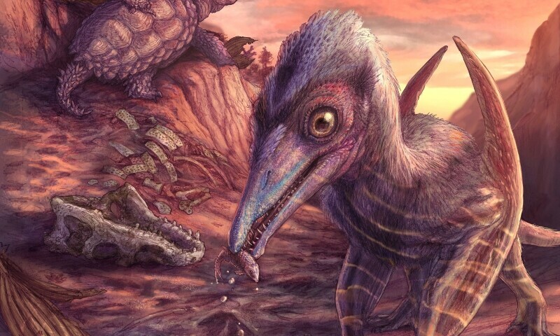An artist’s reconstruction of a landscape dating to 209 million years ago at the site of Petrified Forest National Park in Arizona, based on fossils of plants and animals found preserved in a remote fossil bed, seen in this undated image released by the Smithsonian Institution in Washington on July 7. — AFP
