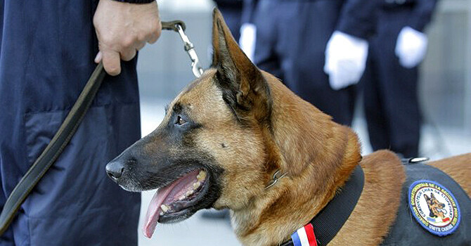 &mdash; فائل فوٹو: اے ایف پی