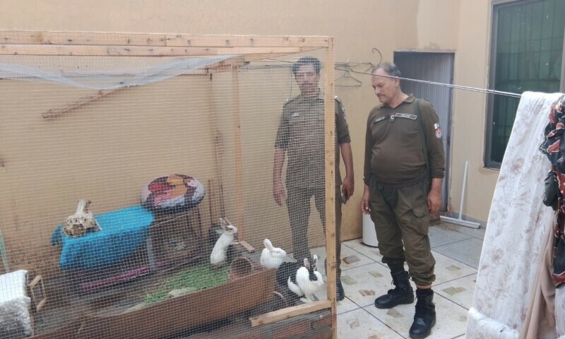 Punjab Police at a location where animal abuse was being committed in Lahore. — JFK Animal Rescue and Shelter