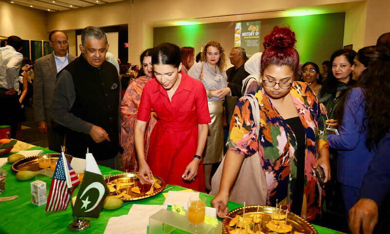 میری بِشوپنگ کہا امریکی کاروباری ادارے اسلام آباد کے اصلاحاتی ایجنڈے کو نوٹ کر رہے ہیں — فوٹو: ایکس میری بِشوپنگ کہا امریکی کاروباری ادارے اسلام آباد کے اصلاحاتی ایجنڈے کو نوٹ کر رہے ہیں — فوٹو: ایکس