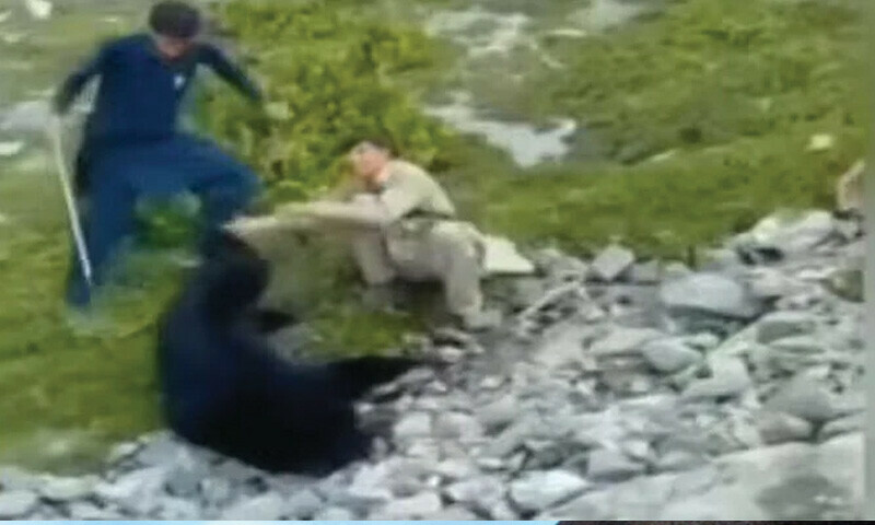 فوٹو: سوشل میڈیا فوٹو: سوشل میڈیا