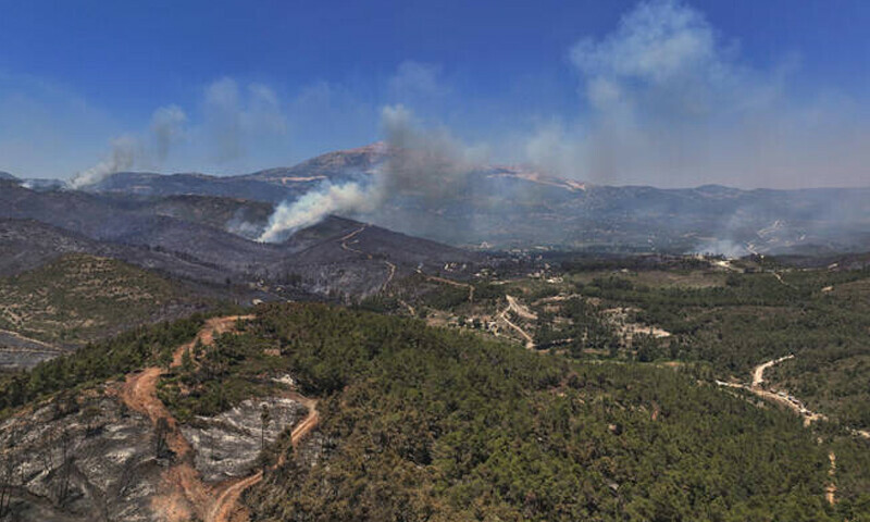 — فوٹو: عرب نیوز — فوٹو: عرب نیوز