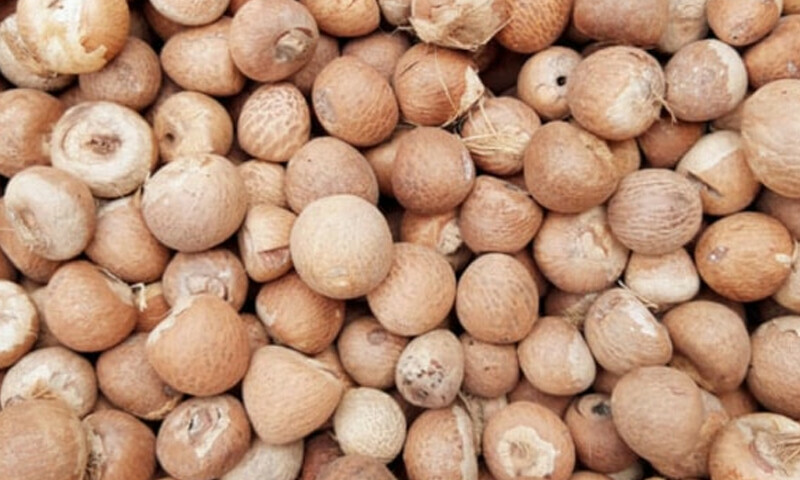 فائل فوٹو: سوشل میڈیا