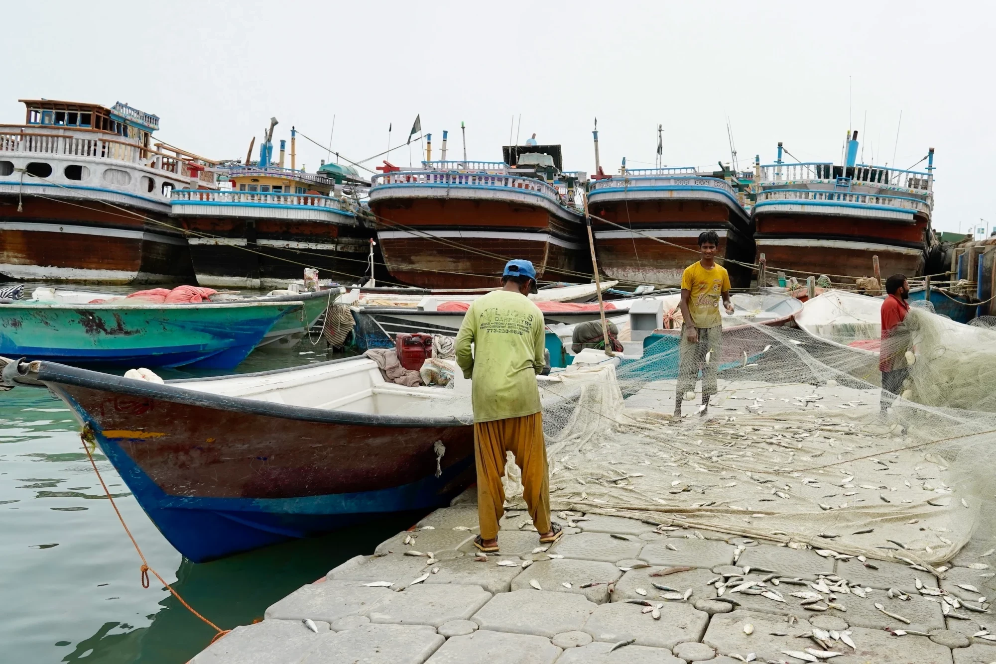 Fishers empty their day’s catch at Gwadar port. Amidst the economic crisis caused by the border closure, thousands of kilogrammes of high-value fresh catch are going unsold, local people say (Image: Abdul Rahim)