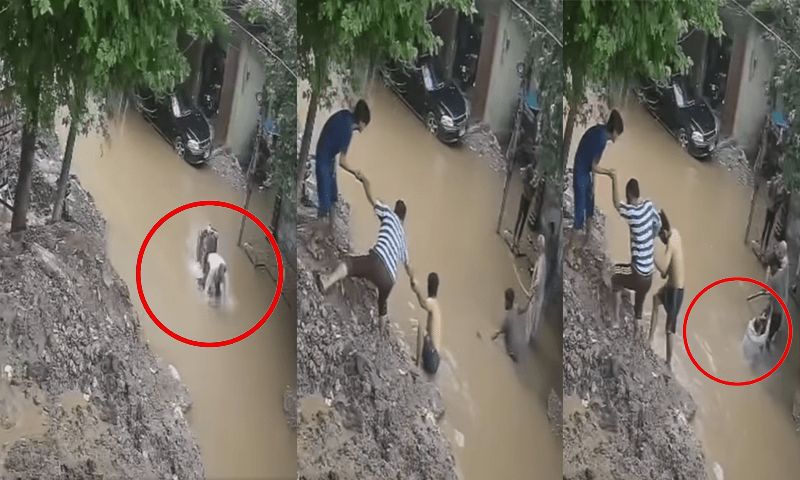 — فوٹو: سوشل میڈیا/ایکس