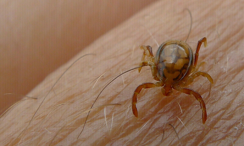 — فائل فوٹو: رائٹرز — فائل فوٹو: رائٹرز