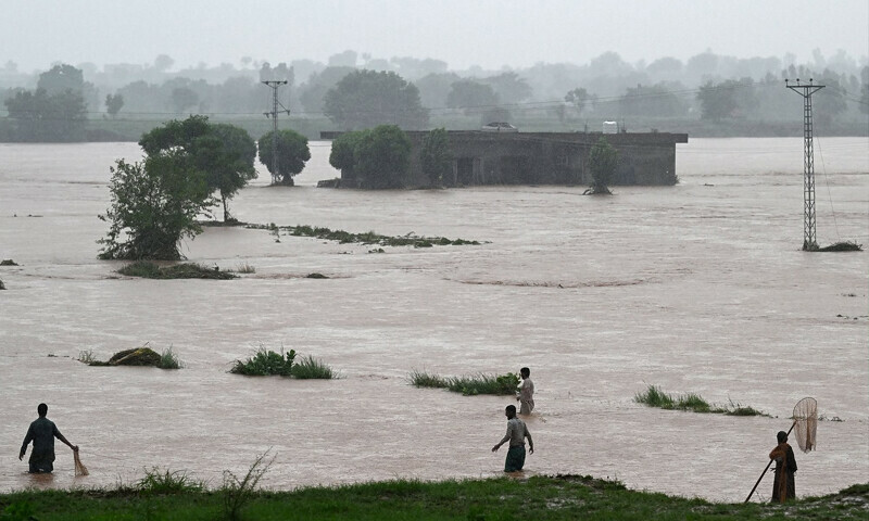— فوٹو: اے ایف پی — فوٹو: اے ایف پی