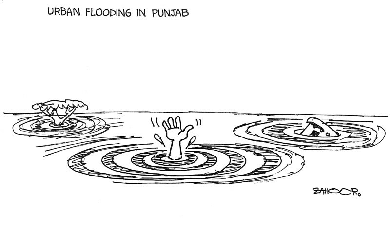 Zahoor&rsquo;s Cartoon