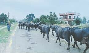 — فائل فوٹو: ڈان — فائل فوٹو: ڈان