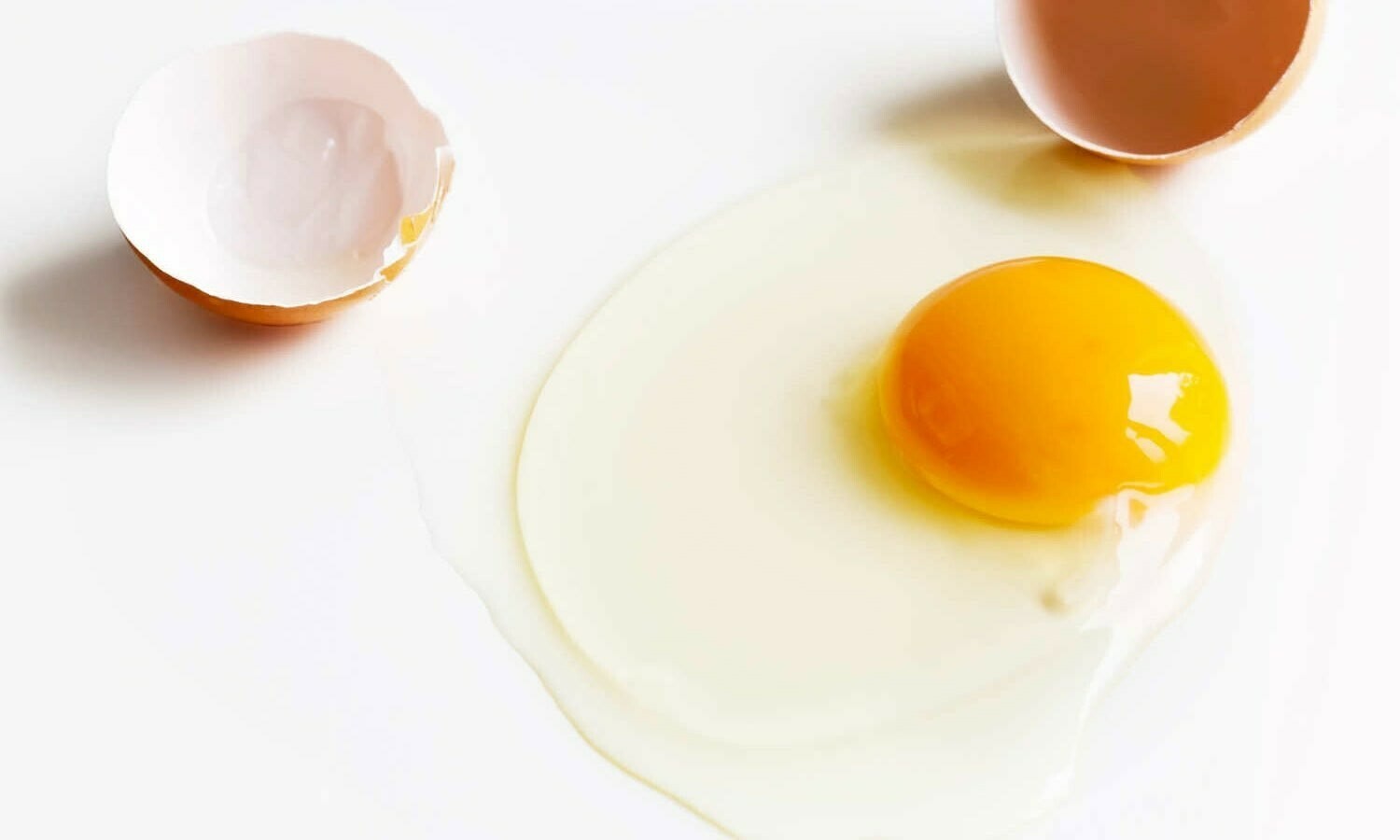 — شٹر اسٹاک فوٹو — شٹر اسٹاک فوٹو