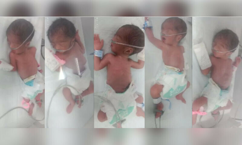 — فوٹو: وائٹل نیوز — فوٹو: وائٹل نیوز