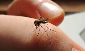 — فائل فوٹو: شٹر اسٹاک — فائل فوٹو: شٹر اسٹاک