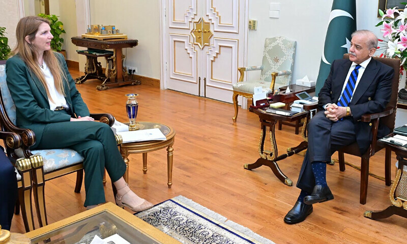 &mdash; فوٹو: پریس انفارمیشن ڈیپارٹمنٹ