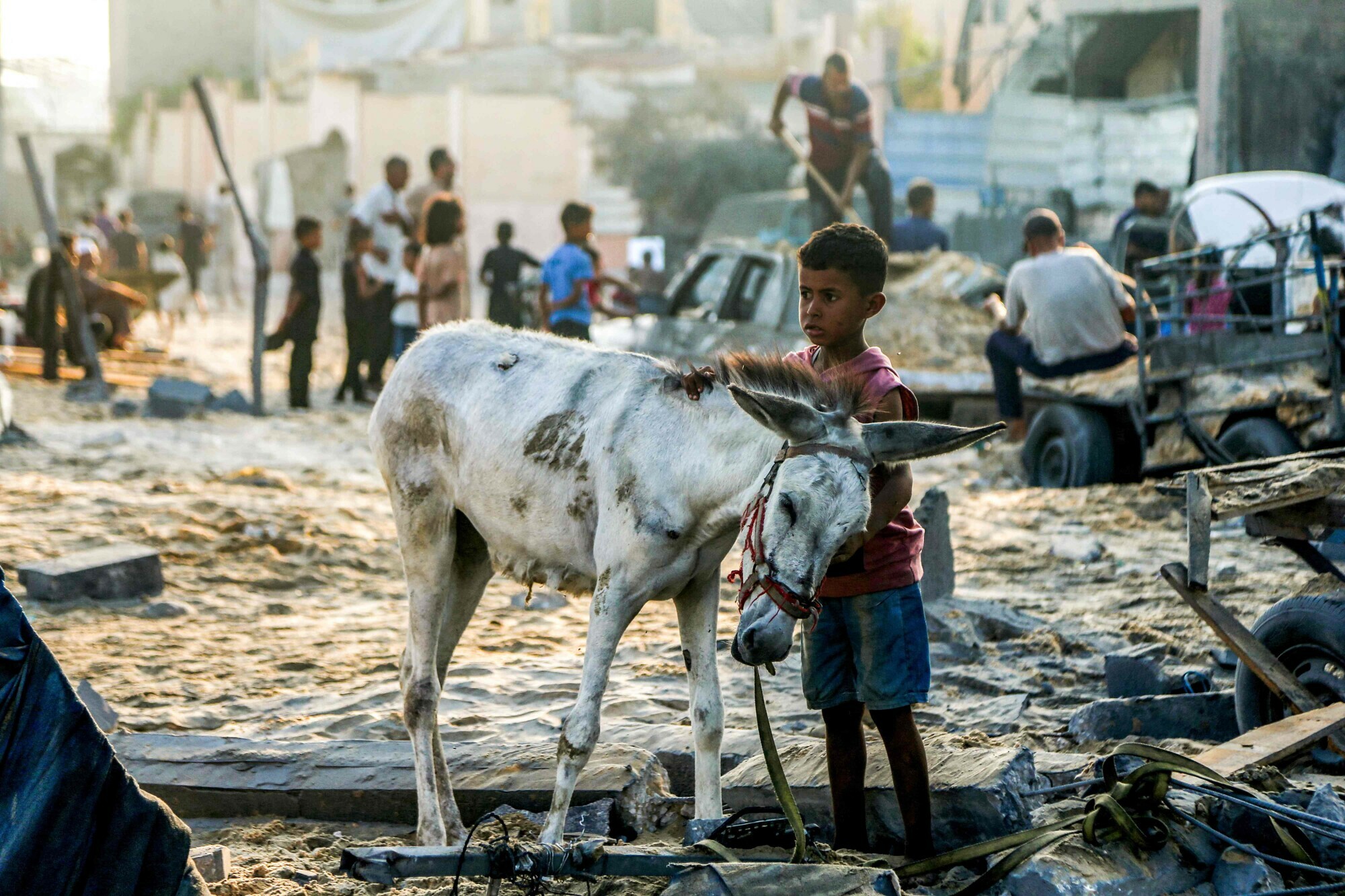 A boy strokes the neck of a donkey as they stand amidst rubble following overnight Israeli bombardment on the Japanese neighbourhood in the northwest of Khan Younis in the southern Gaza Strip on July 28, 2025. — AFP