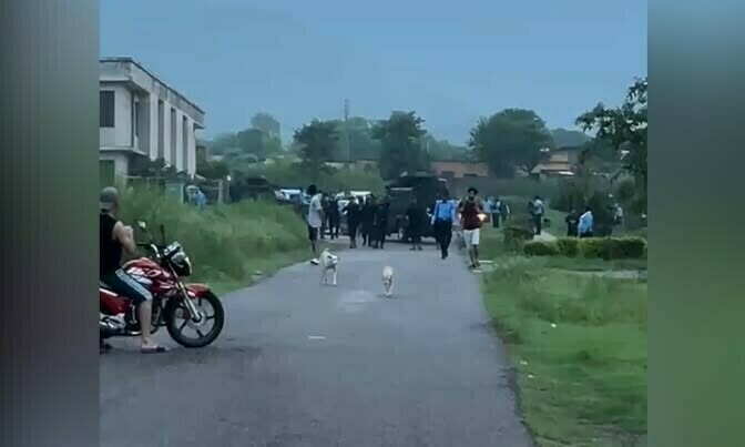 &mdash; فائل فوٹو: سوشل میڈیا