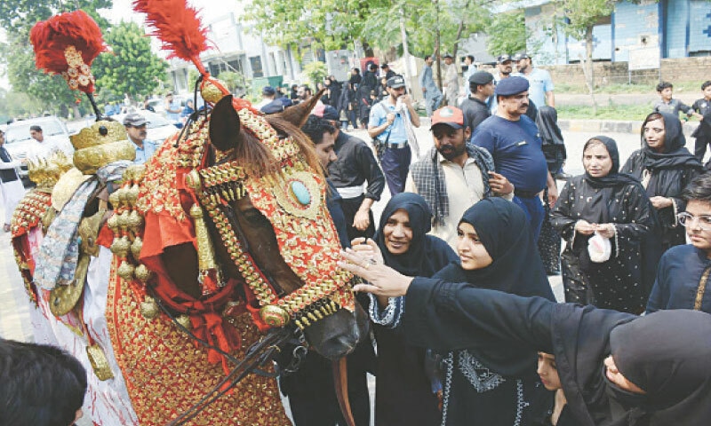 Mourners touch Zuljinah at Muharram  8 procession brought out in G-9, Islamabad on Friday. &mdash; INP