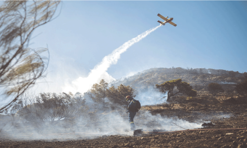 An aeroplane drops water on a wildfire in Koropi, near Athens.—AFP