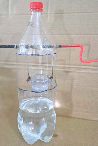 Photos by the writer