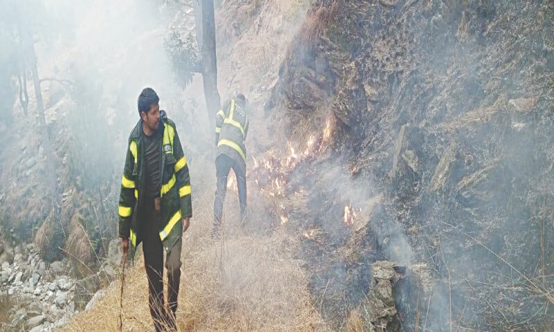 Firefighters working during a forest fire in Swat | Sajid Khan