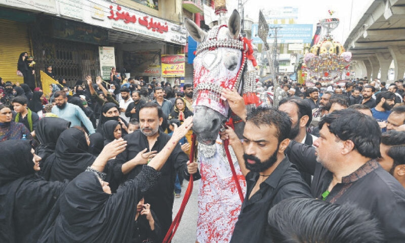 People pay respect to a Zuljinnah at an Ashura procession in Committee Chowk in Rawalpindi on Sunday. — White Star