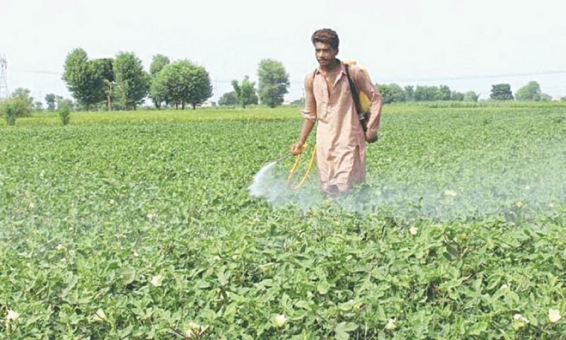 A key reform has led to a sharp cut in the use of methyl bromide through revised, science-based import regulations.—Dawn/file