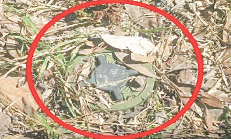 A landmine exposed by heavy rain. — Dawn