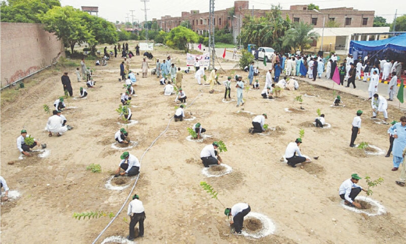 Students planting saplings in Bannu. — Dawn
