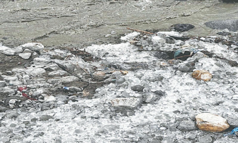 BLOCKS of ice that have broken off the Shishper Glacier accumulate in the Hassanabad nallah.—Photo by the author