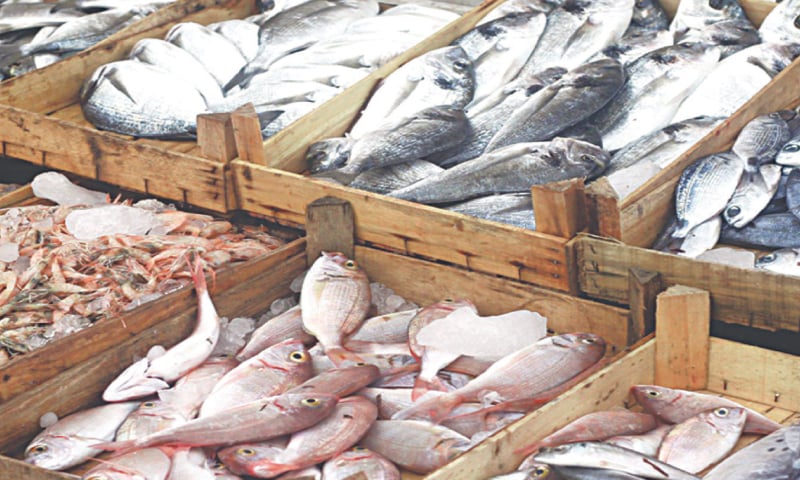 Exporters have asked the government to facilitate inspection missions for reopening market access for all certified processing plants.—APP/file