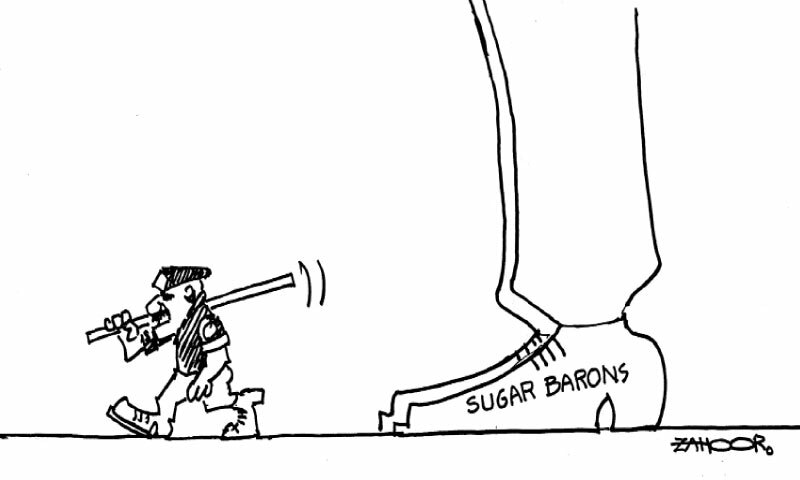 Zahoor's Cartoon