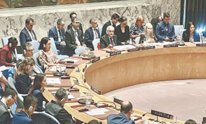 Foreign Minister Ishaq Dar addresses the session.&mdash;X/ ForeignOfficePk