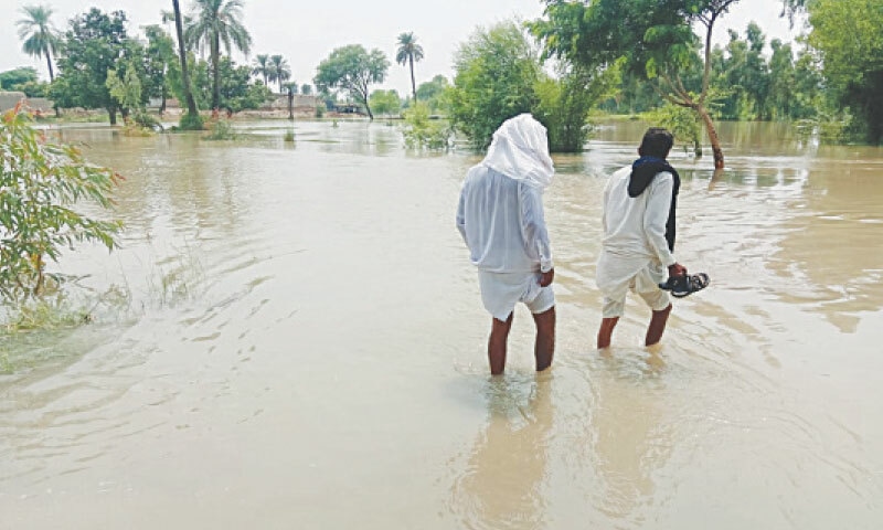 LAYYAH: Villagers walk across a submerged field in tehsil Karor Lal Esan after the overflowing River Indus flooded many low-lying areas along its banks.—Photo by Zahoor Hussain