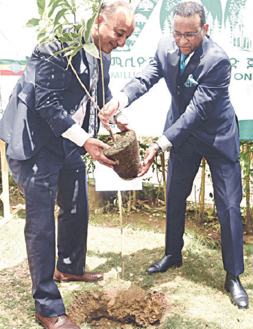 Federal Minister for Climate Change and Environmental Coordination Dr Musadik Malik plants a sapling along with Ethiopian Ambassador to Pakistan Dr Jemal Beker Abdula at the Ethiopian Embassy in Islamabad on Thursday. &mdash; White Star