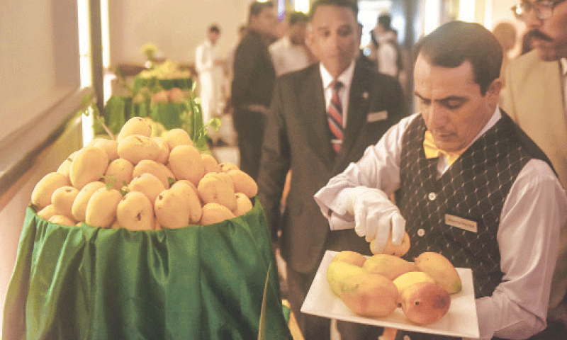 an experienced butler knows how to present mangoes with elegance and finesse.
&mdash;Fahim Siddiqi / White Star