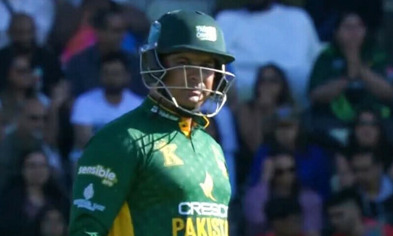 — فوٹو: ڈبلیو ایل سی — فوٹو: ڈبلیو ایل سی