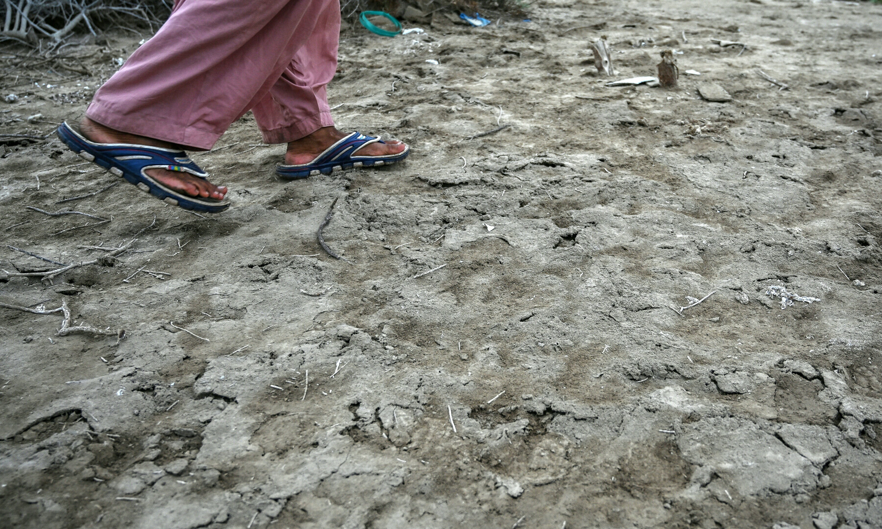 Habibullah Khatti, a local resident, walks over the salt crusts deposited in Abdullah Mirbahar village in Kharo Chan town, in the Indus delta on June 25. — AFP