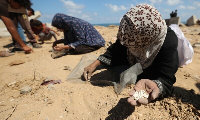 Palestinian women search the sand for legumes or rice in Nuseirat in the central Gaza Strip during an airdrop mission above the Israel-besieged Palestinian territory on August 5. — AFP