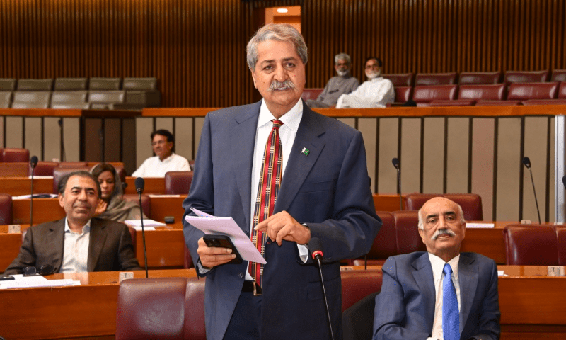 PPP MNA Syed Naveed Qamar moves amendments in the Pakistan Land Port Authority Bill 2025 before the National Assembly, on Aug 7, 2025. &mdash; X/NAofPakistan