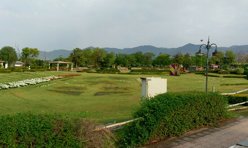 فوٹو: سوشل میڈیا