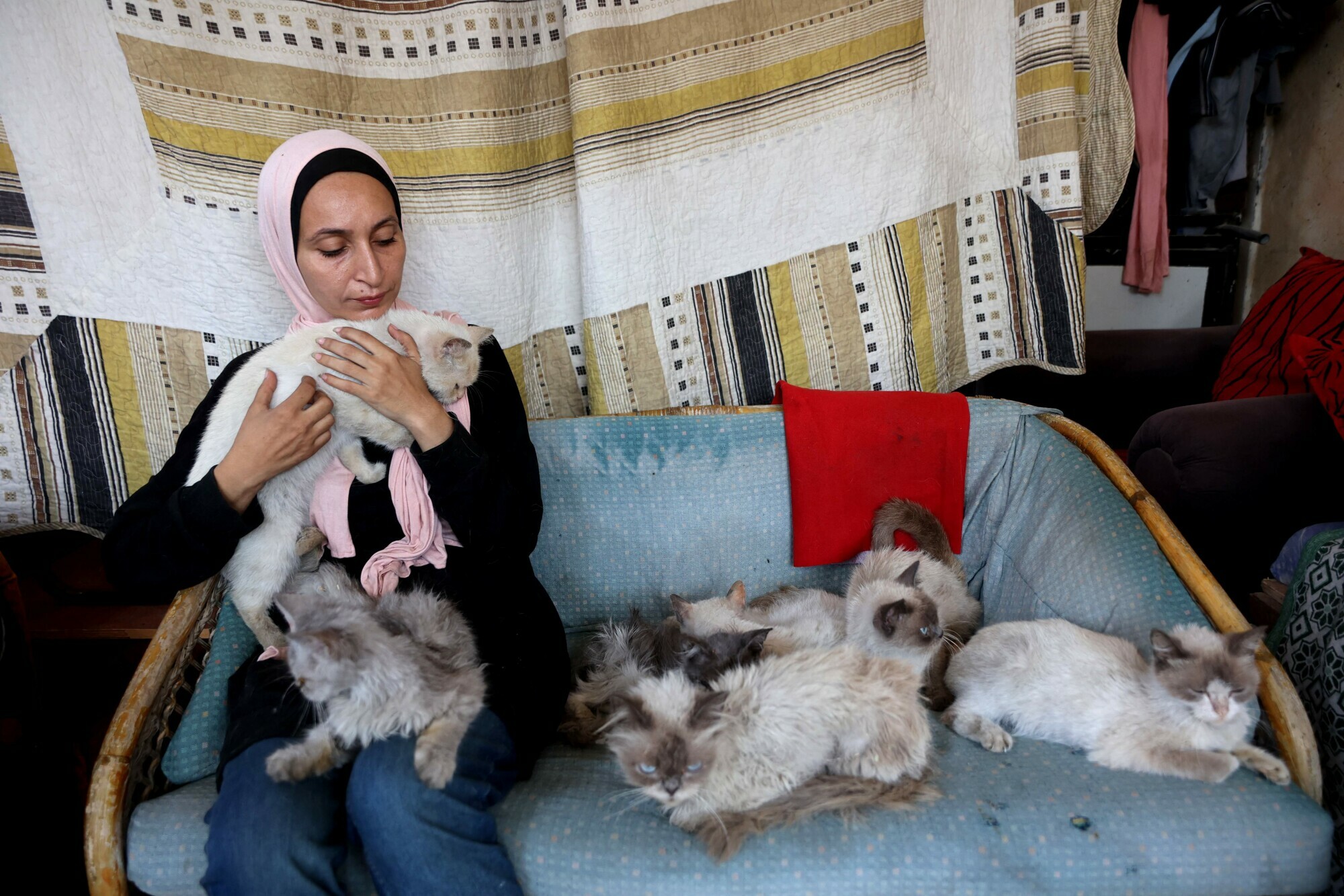 Grania Murad, 42, who is displaced from Beit Hanun in the northern Gaza Strip and currently resides in Gaza City, cares for stray cats, August 13. &mdash; AFP
