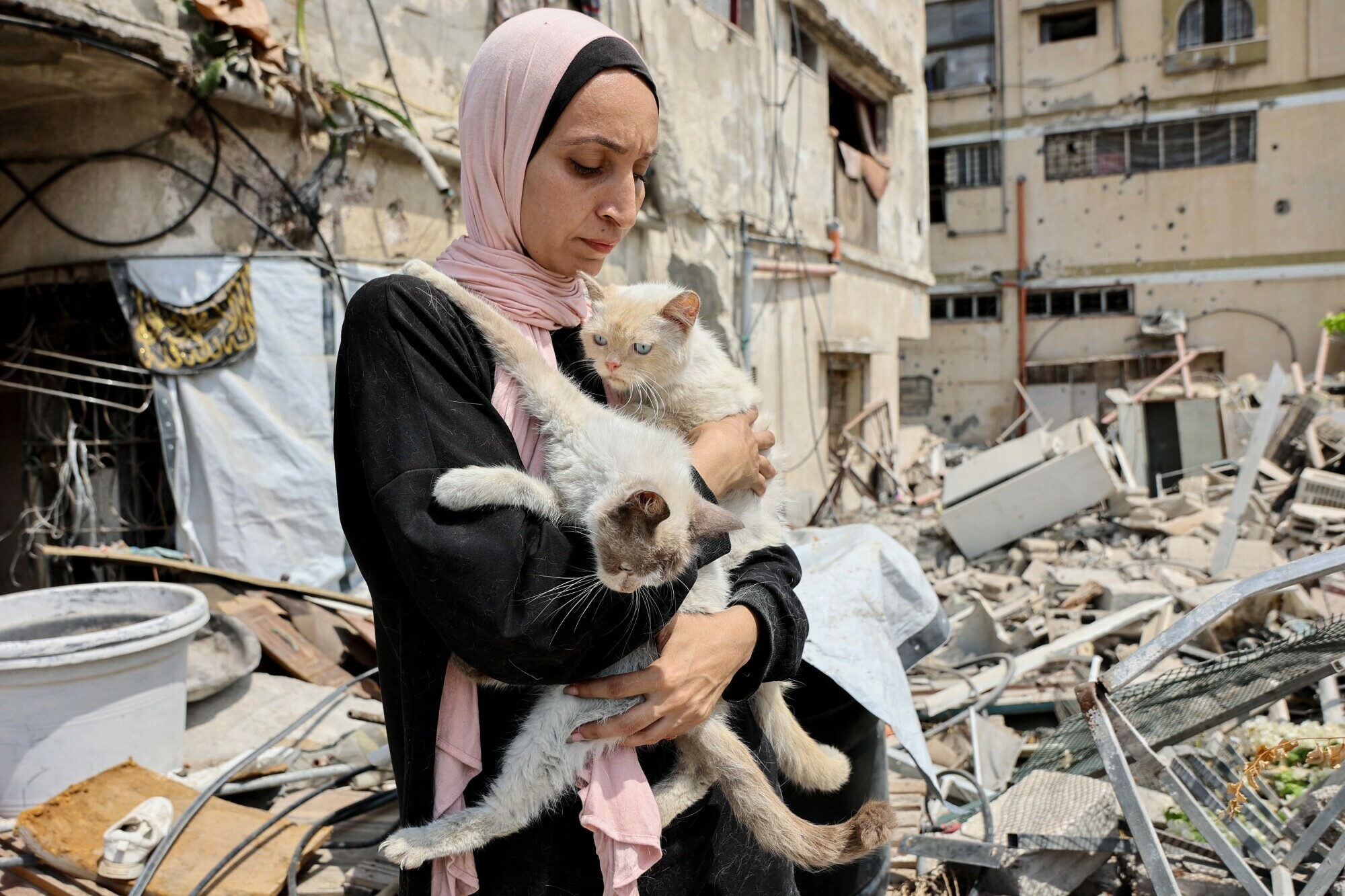 Rania Murad, 42, who is displaced from Beit Hanun in the northern Gaza Strip and currently resides in Gaza City, holds some of the stray cats she takes care, August 13. &mdash; AFP