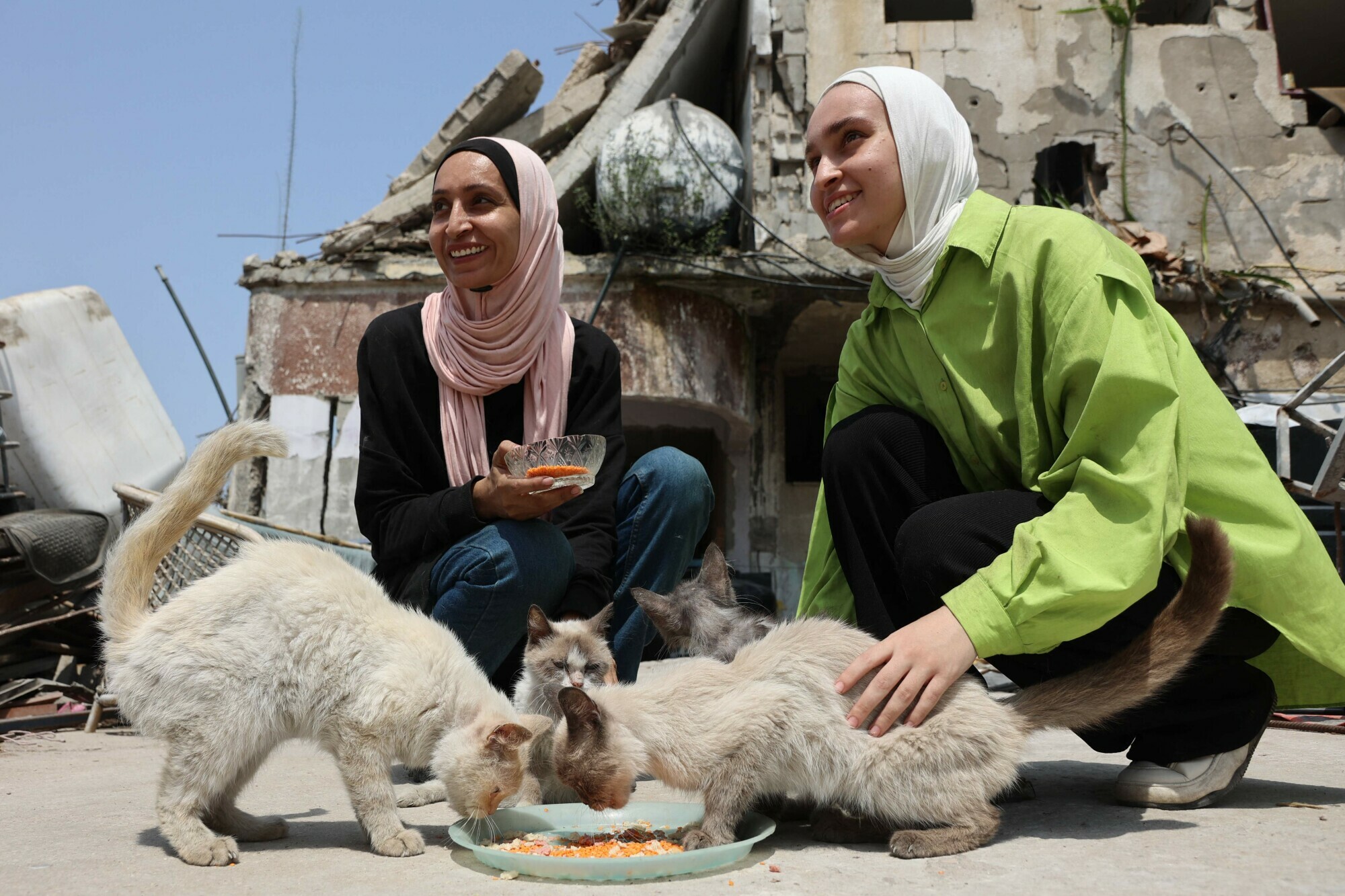 Grania Murad (L), 42, and her daughter Sara, 19, who are displaced from Beit Hanun in the northern Gaza Strip and currently reside in Gaza City, feed stray cats, August 13. &mdash; AFP