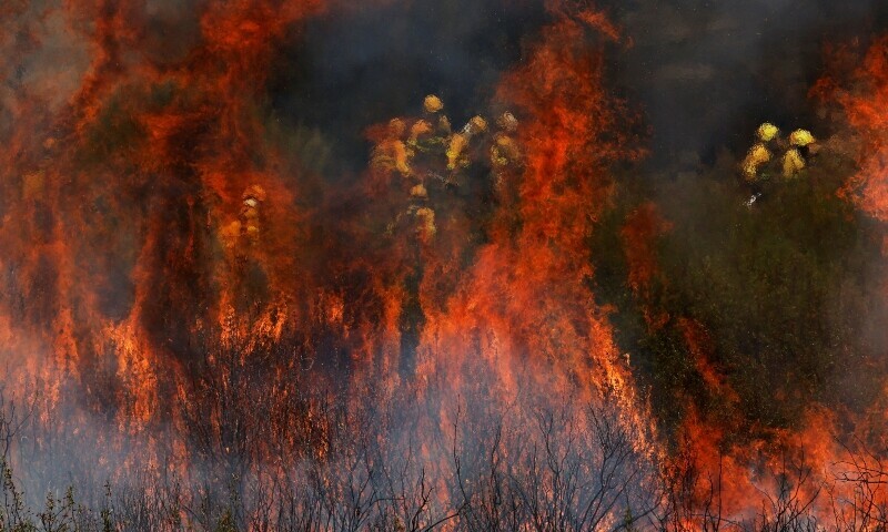 Firefighters work to extinguish a wildfire in the outskirts of Abejera de Tabara, Zamora, Spain, August 13. &mdash; Reuters
