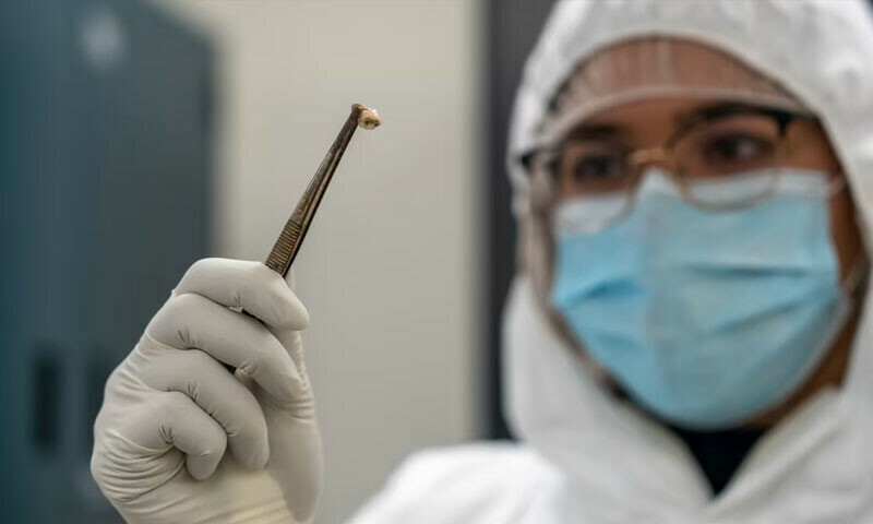 فوٹو: McMaster University فوٹو: McMaster University