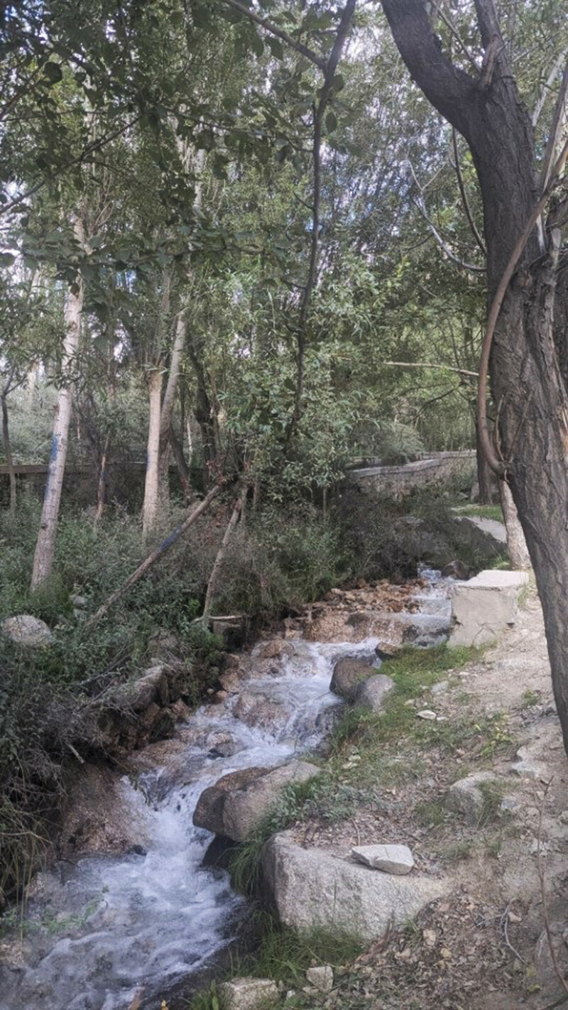   بہتے پانی کی آواز دل موہ لیتی ہے  